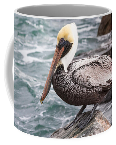 Beak Coffee Mug featuring the photograph Just Hanging by Ed Gleichman