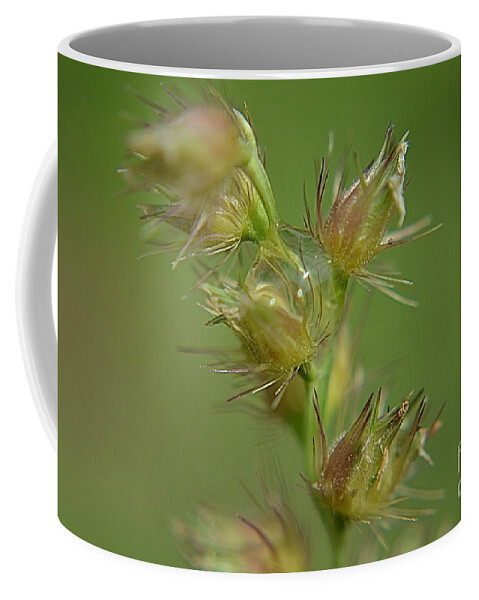 Michelle Meenawong Coffee Mug featuring the photograph Just One Drop by Michelle Meenawong
