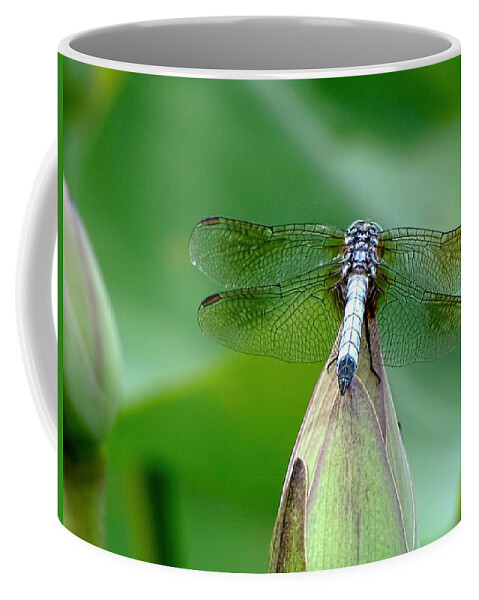 Dragonfly Coffee Mug featuring the photograph Just Visiting by Jennifer Wheatley Wolf