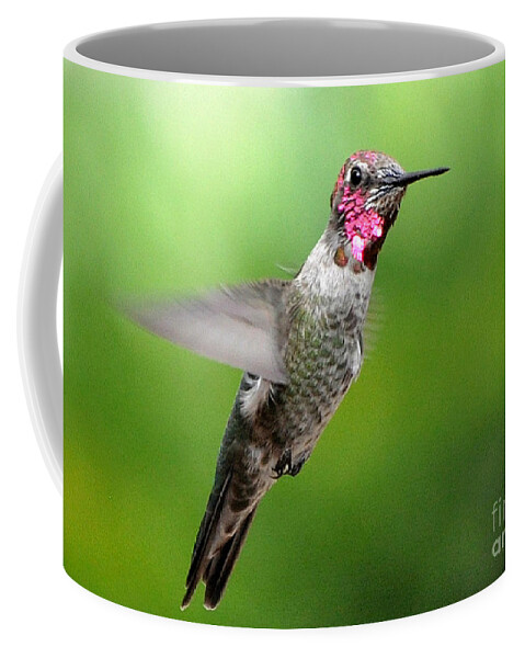Male Hummingbird Coffee Mug featuring the photograph Juvenile Male Anna's In Flight #1 by Jay Milo