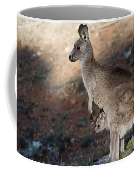 Australia Coffee Mug featuring the photograph Kangaroo and joey by Steven Ralser