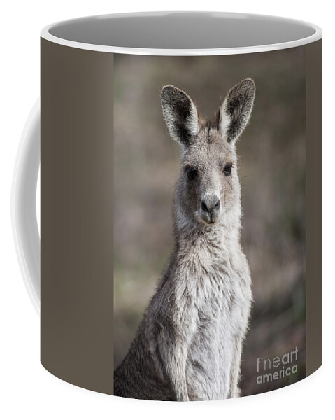 Australia Coffee Mug featuring the photograph Kangaroo by Steven Ralser