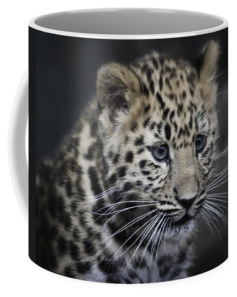 Amur Coffee Mug featuring the photograph Kanika - Amur leopard portrait by Chris Boulton