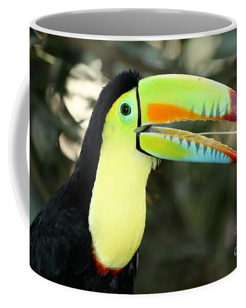 Toucan Coffee Mug featuring the photograph Keel billed toucan by James Brunker