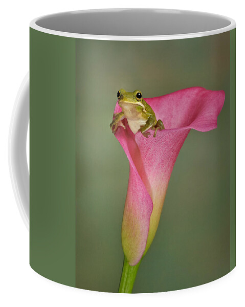 Calla Coffee Mug featuring the photograph Kermit Peeking Out by Susan Candelario