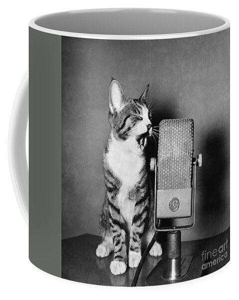 Animal Coffee Mug featuring the photograph Kitten on the Radio by Syd Greenberg