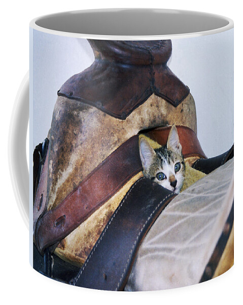 Cat Coffee Mug featuring the photograph Kitty in the Saddle by Kae Cheatham