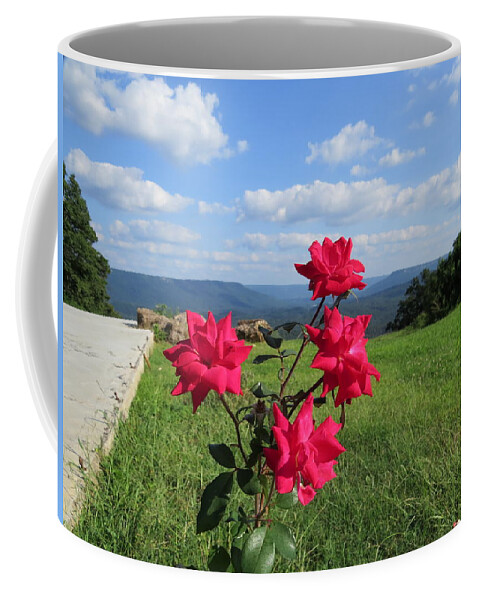 Floral Coffee Mug featuring the photograph Knock Out Rose by Aaron Martens