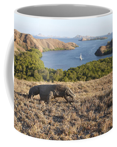 Komodo Dragon Coffee Mug featuring the photograph Komodo National Park by M. Watson