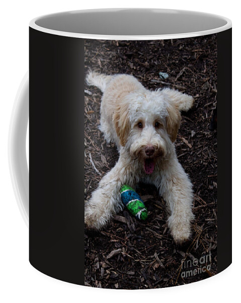 White Coffee Mug featuring the photograph Labradoodle at Play by Sandra Clark