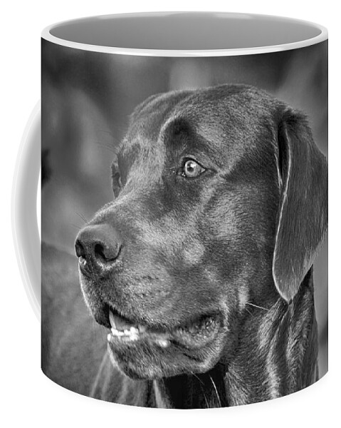 Dog Print Coffee Mug featuring the photograph Labrador Sweetie by Kristina Deane