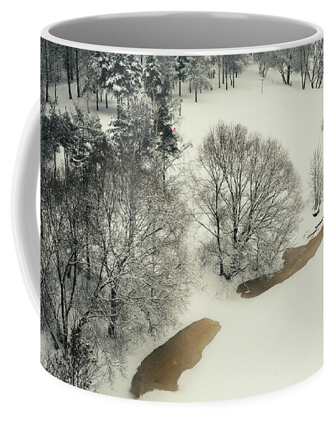 Winter Coffee Mug featuring the photograph Lacy Winter 5 by Jenny Rainbow