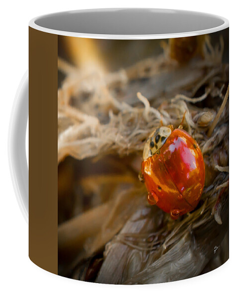 Ladybug Coffee Mug featuring the photograph Lady of Leisure Squared by TK Goforth