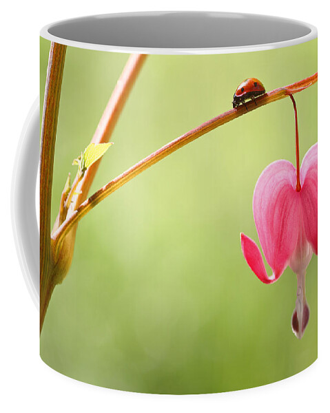 Ladybugs Coffee Mug featuring the photograph Ladybug and Bleeding Heart Flower by Peggy Collins