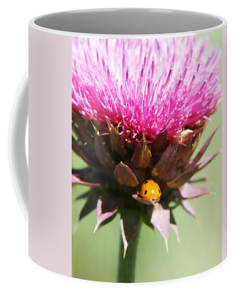 Ladybug Coffee Mug featuring the photograph Ladybug and Thistle by Marilyn Hunt