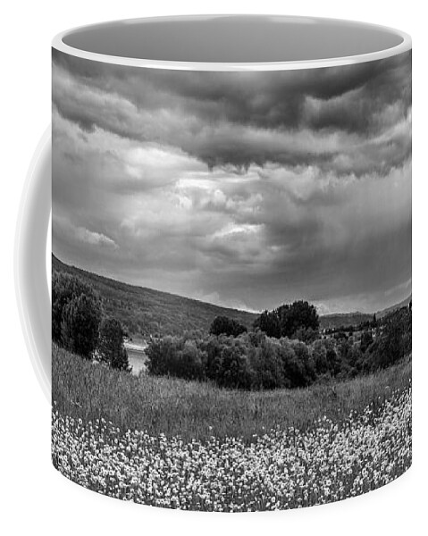 Landscape Coffee Mug featuring the photograph Stormy weather by Bernd Laeschke