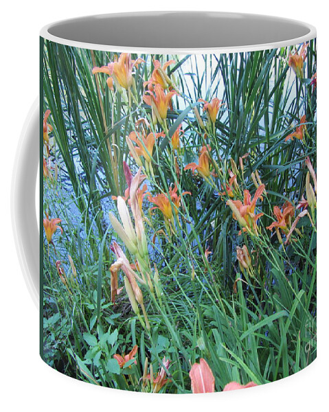 Water Coffee Mug featuring the photograph Lake Of The Lilies by Susan Carella