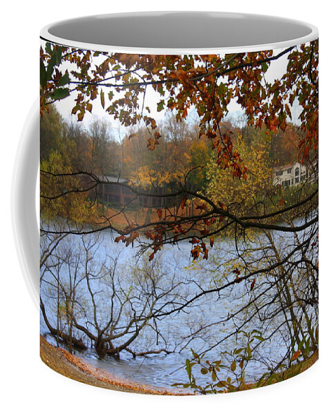 Landscapes Coffee Mug featuring the photograph Lake Success in Autumn by Dora Sofia Caputo