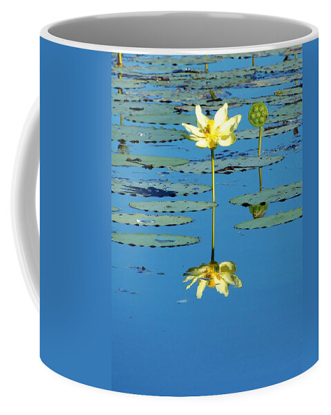 Landscape Coffee Mug featuring the photograph Lake Thomas Water Lily by Christopher Mercer