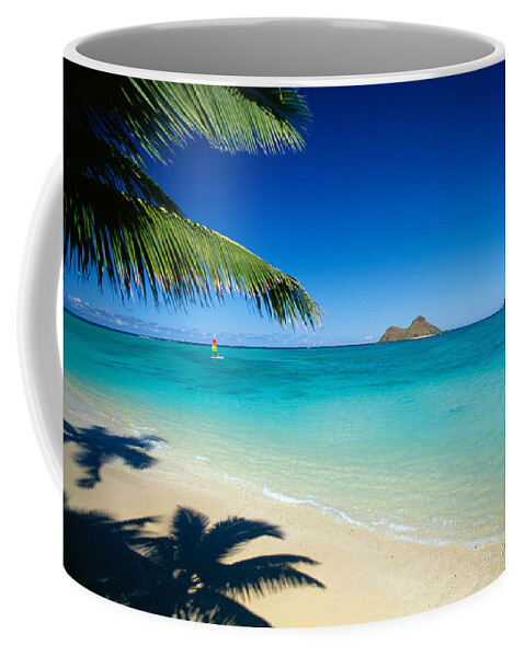 Beach Coffee Mug featuring the photograph Lanikai Beach Hobie Cat by Dana Edmunds - Printscapes