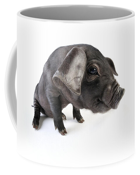 Pig Coffee Mug featuring the photograph Large Black Piglet by John Daniels