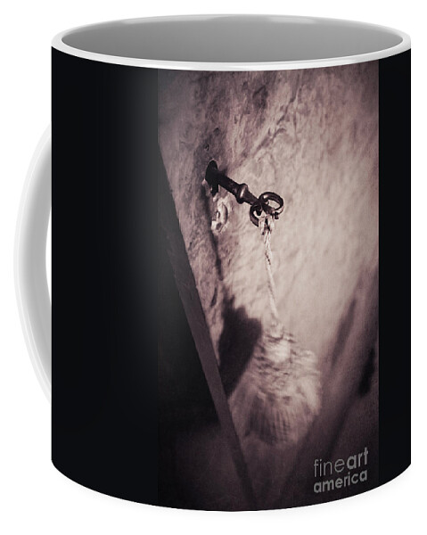 Door Coffee Mug featuring the photograph L'armoire by Trish Mistric