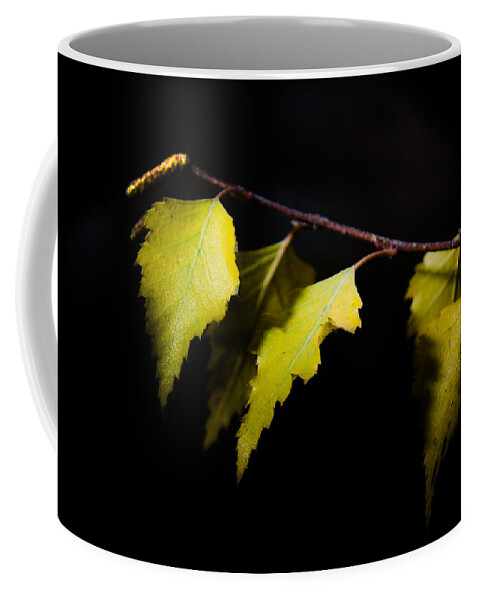 Autumn Coffee Mug featuring the photograph Last autumn gifts by Michael Goyberg