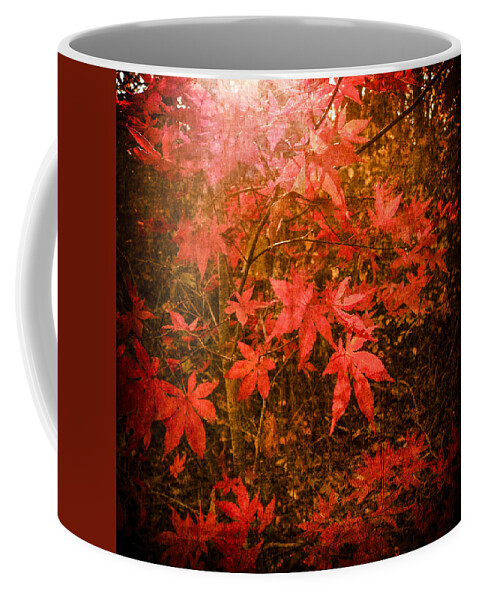 Fall Coffee Mug featuring the photograph Last Color of Autumn by Frank Winters