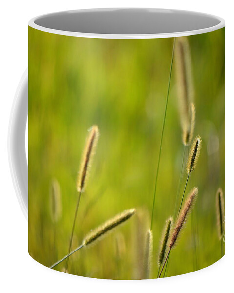 Grass Coffee Mug featuring the photograph Late Summer Grasses by Karin Everhart