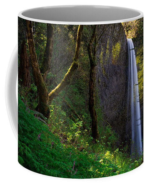Oregon Coffee Mug featuring the photograph Latourell Falls by Dustin LeFevre