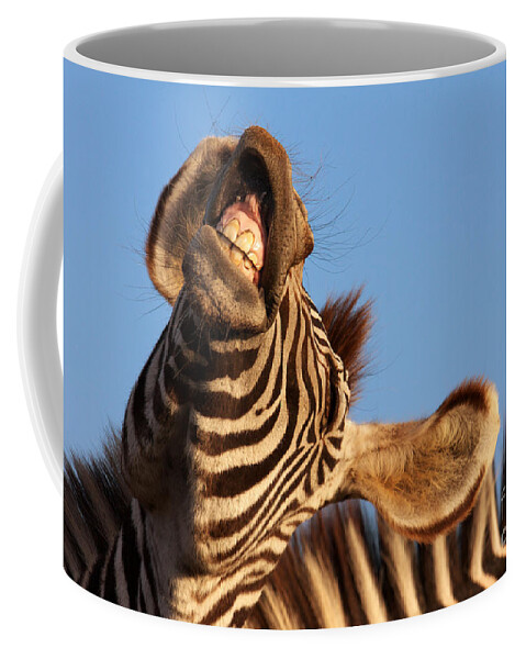 Portrait Coffee Mug featuring the photograph Laughing zebra by Nick Biemans