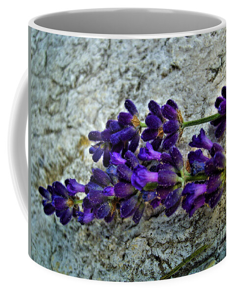 Flower Coffee Mug featuring the photograph Lavender On White Stone by Nina Ficur Feenan