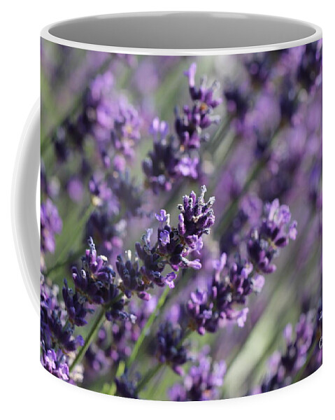 Closeup Coffee Mug featuring the photograph Lavender by Amanda Mohler