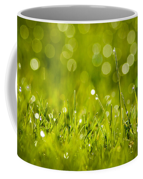 Bill Pevlor Coffee Mug featuring the photograph Lawn Twinklers by Bill Pevlor