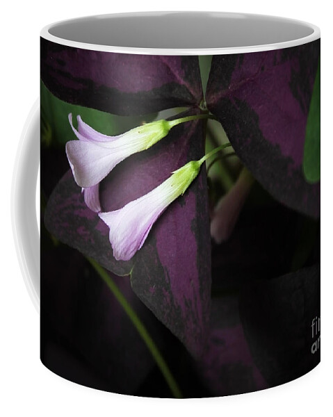 Flowers Coffee Mug featuring the photograph Lay Down Beside Me by Ellen Cotton