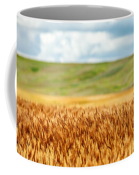 What Coffee Mug featuring the photograph Layers of Grain by Todd Klassy