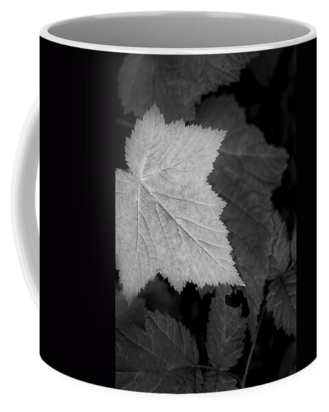 Vertrical Coffee Mug featuring the photograph Leaf me Alone by Jon Glaser