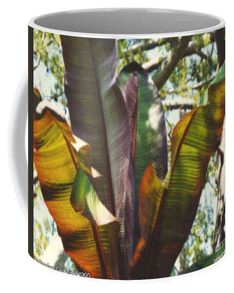 Leaf Coffee Mug featuring the photograph Leaf Reflection by Mars Besso