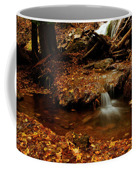 Colorado Coffee Mug featuring the photograph Leaf Splatter by Jeremy Rhoades