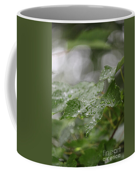 White Coffee Mug featuring the photograph Leafy raindrops by Jennifer E Doll