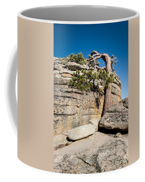 Sierra Nevada Coffee Mug featuring the photograph Leaning Tree by Wim Slootweg