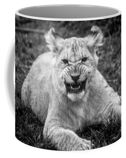 Lion Coffee Mug featuring the photograph Learning to Roar by David Rucker