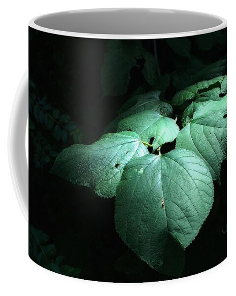Photography Coffee Mug featuring the photograph Leaves in a patch of sunlight by Ludwig Keck