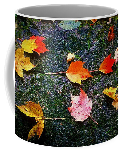Fine Art Coffee Mug featuring the photograph Leaves on Rock by Rodney Lee Williams