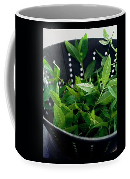 Lemon Verbena Herbs Coffee Mug