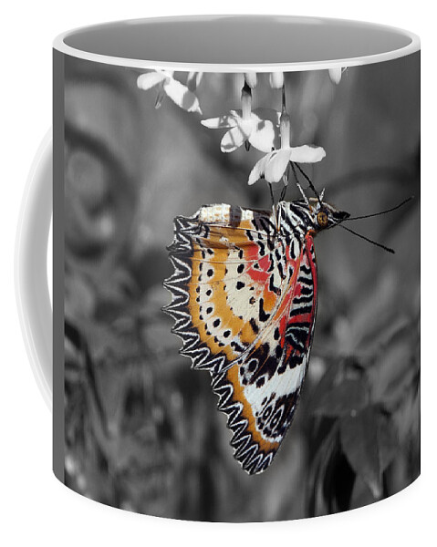 Scenic Coffee Mug featuring the photograph Leopard Lacewing Butterfly DTHU619BW by Gerry Gantt