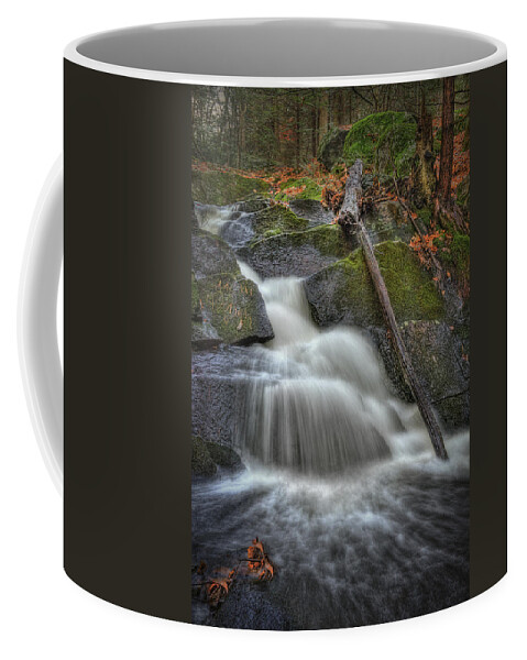 Water Coffee Mug featuring the photograph Let It Flow by Evelina Kremsdorf