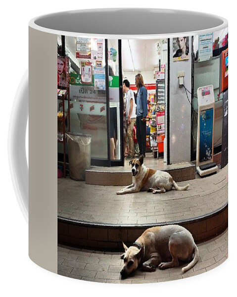  Coffee Mug featuring the photograph Let Sleeping Dogs Lie Where They May by Mr Photojimsf