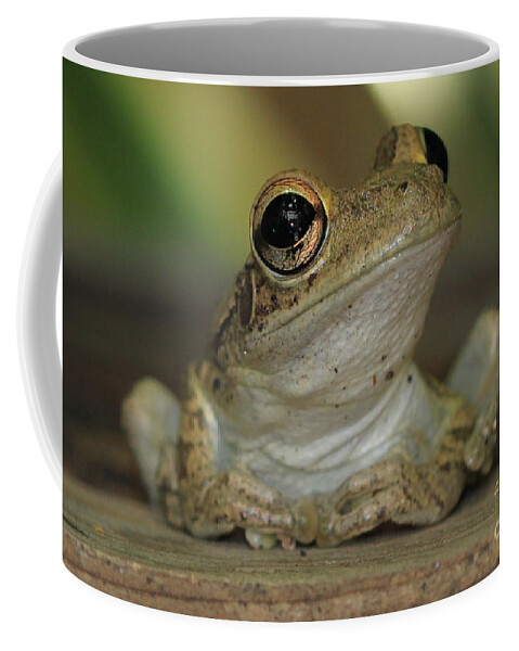 Cuban Treefrog Coffee Mug featuring the photograph Let's Talk - Cuban Treefrog by Meg Rousher