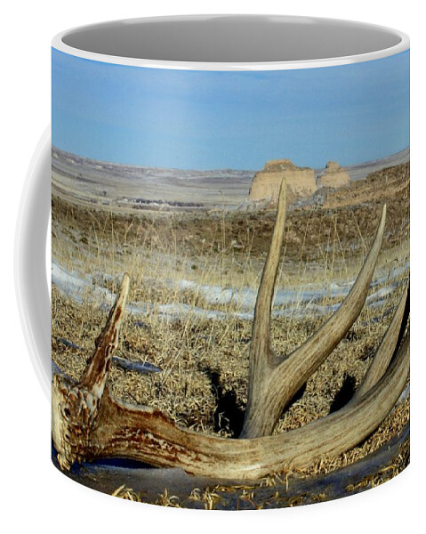 Pawnee Buttes Coffee Mug featuring the photograph Life Above The Buttes by Shane Bechler